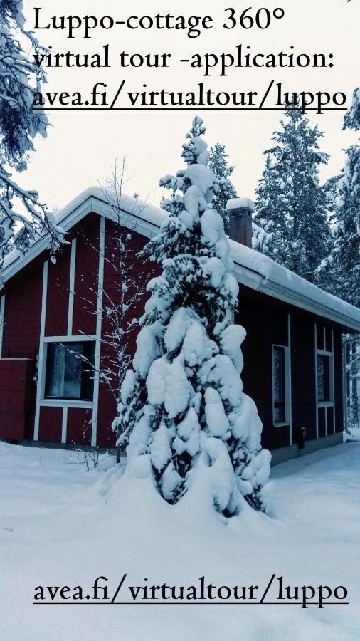 Kuosto Ja Luppo Villa Äkäslompolo Eksteriør bilde